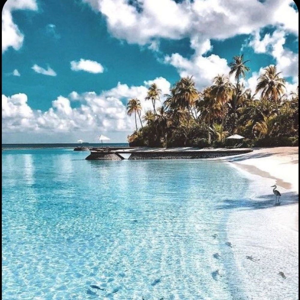 Meet your Posher, Vada